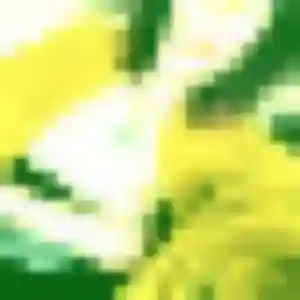 Diary, fille de 35 ans veut plan cul à Montbard