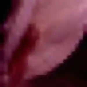 Photo sexy de Yaa, 29 ans à Montbizot - rencontre coquine