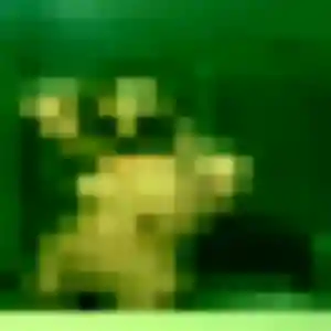 Photo privée de Noémie, 42 ans à Monteneuf - rencontre coquine