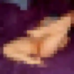 Découvre Ramata, 31 ans à Montérolier gratuitement