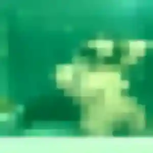 Découvre Nassira, 40 ans à Montescourt-Lizerolles gratuitement