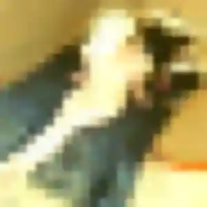 Sira (27 ans) à Montferrier-sur-Lez cherche une rencontre maintenant