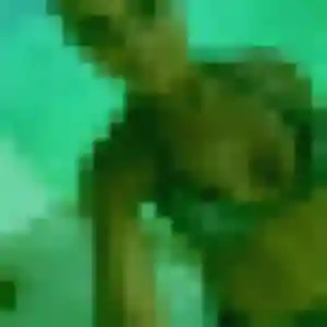 Sexy Rébecca, 32 ans à Monthyon - découvrir son profil