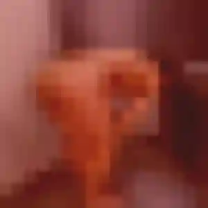 Sexy Omolara, 23 ans à Montierchaume - la contacter