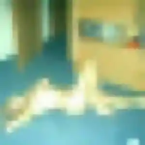 Contacte Rokia, 37 ans à Montmérac en privé