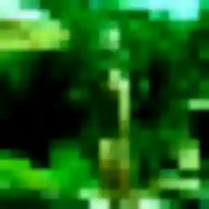 Tabitha, 34 ans, cherche un plan cul à Montréal