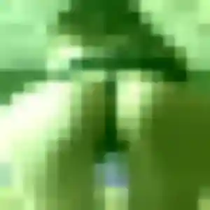Profil de Adwoa à Montricoux (25 ans) - plan cul anonyme