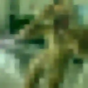 Astou de Montseveroux, 35 ans - plan cul sans lendemain