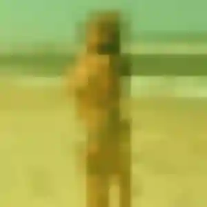 Charmante Ramatoulaye, 45 ans à Montseveroux - la contacter