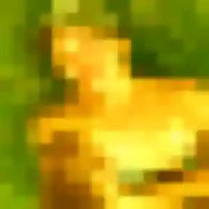 Chioma (33 ans) à Montsoult propose une rencontre maintenant