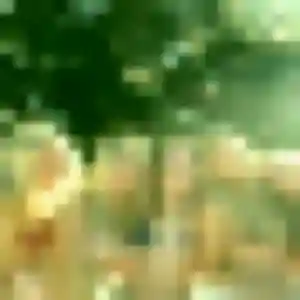 Codou, fille de 24 ans cherche plan cul à Morancez