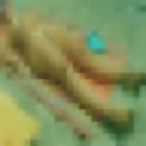 Photo sexy de Ténin, 27 ans à Morey-Saint-Denis - rencontre sans lendemain