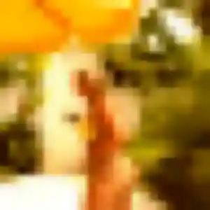 Photo de Astou à Mornant (28 ans) - plan cul discret