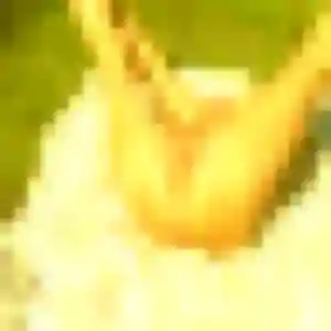 Photo privée de Audrey, 45 ans à Mosnes - plan discret