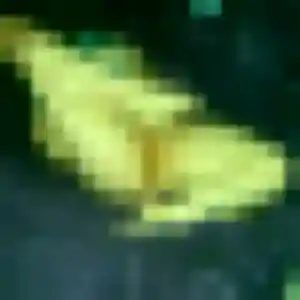 Photo sexy de Yvette, 24 ans à Mouchard - plan discret