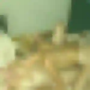 Photo perso de Yvette, 44 ans à Moulins-sur-Yèvre - rencontre coquine