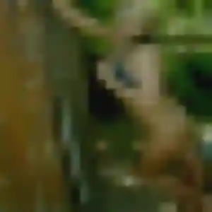 Jolie Hélène, 33 ans à Moux - la contacter