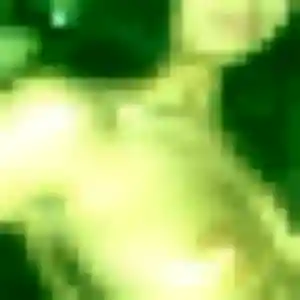 Contacte Salma, 35 ans à Moyaux en t'inscrivant