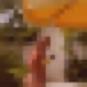 Binta, 43 ans, dispo pour plan cul à Muespach-le-Haut