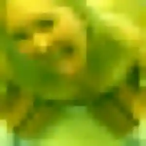 Wivine, 38 ans, en ligne à Muids pour un plan cul