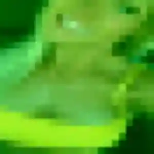 Touty (30 ans) à Mur-de-Sologne attend une rencontre aujourd'hui