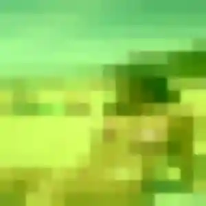 Fama, 41 ans, veut un plan cul à Nancy