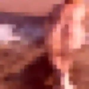 Wendy, fille de 28 ans cherche plan cul à Néant-sur-Yvel