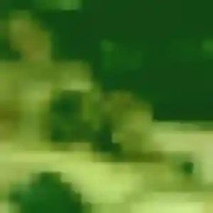 Dalila, 24 ans, veut un plan cul à Neauphlette