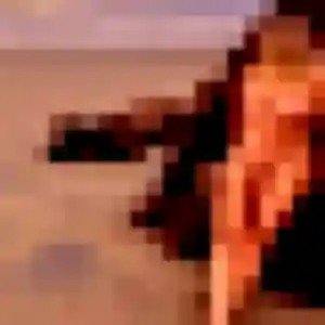 Rencontre Sabrina, 28 ans à Néoules en t'inscrivant