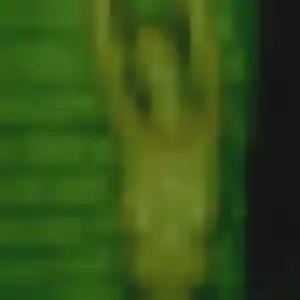 Modupe, 32 ans, veut un plan cul à Nesle