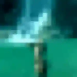 Rencontre Roxane, 38 ans à Neufchâtel-Hardelot gratuitement