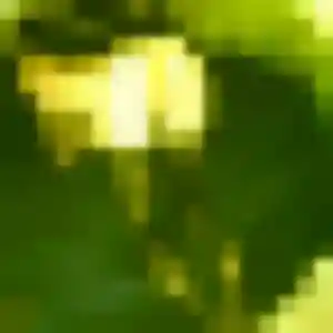 Profil de Mabinty à Neuilly-Plaisance (42 ans) - plan cul discret
