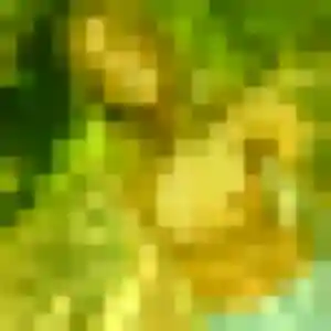 Sexy Vanessa, 30 ans à Neulise - voir sa photo