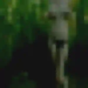 Photo de Arame à Neuville-en-Ferrain (34 ans) - plan cul gratuit