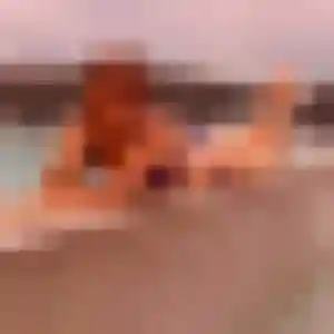 Contacte Honorine, 30 ans à Neuvy-Saint-Sépulchre en privé