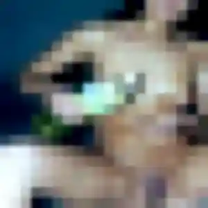 plan cul à Nielles-lès-Bléquin : profil de Bola, 38 ans - sans engagement