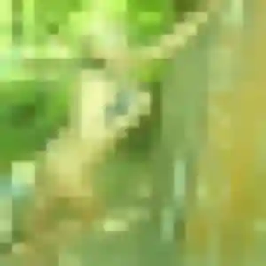 Photo exclusive de Naëlle, 34 ans à Niort - rencontre coquine