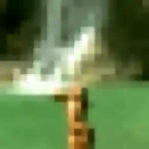 Rejoins Adaora, 39 ans à Noailles en t'inscrivant