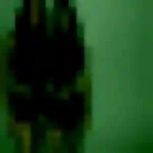 Contacte Célestine, 37 ans à Noailles en t'inscrivant