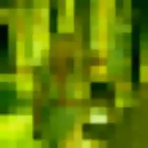 Photo sexy de Adjoua, 33 ans à Nogent-le-Bernard - rencontre sans lendemain