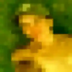 Photo exclusive de Amira, 25 ans à Nogent-sur-Seine - rencontre coquine