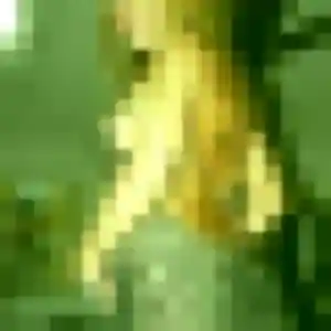 Sarah, 25 ans, disponible à Nouvoitou pour une rencontre coquine