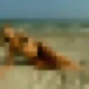 Upendo de Nuillé-sur-Vicoin, 26 ans - plan cul discret