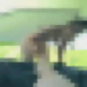 Amani, 24 ans, cherche un plan cul à Oberentzen