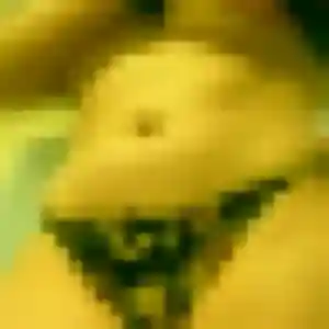 Photo de Odile à Orchamps (30 ans) - plan cul gratuit