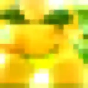 Photo perso de Régine, 31 ans à Orgelet - rencontre sans lendemain