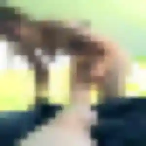 Profil de Hélène à Ormesson-sur-Marne (31 ans) - plan cul gratuit