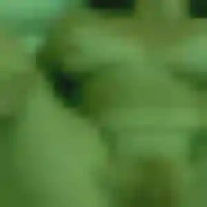 Adwoa de Ormoy, 26 ans - plan cul sans lendemain