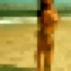 plan cul à Osséja : photo de Adeola, 25 ans - sans engagement