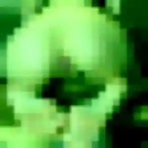 plan cul à Ouangani : photo de Sarah, 38 ans - inscription gratuite